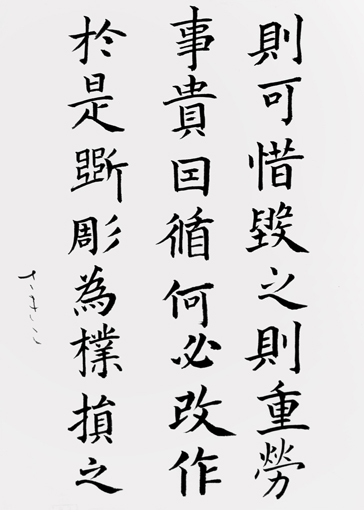 宮崎さき子_作品