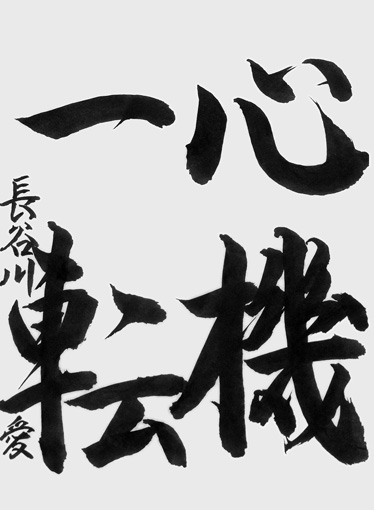 長谷川愛（中学生）_作品