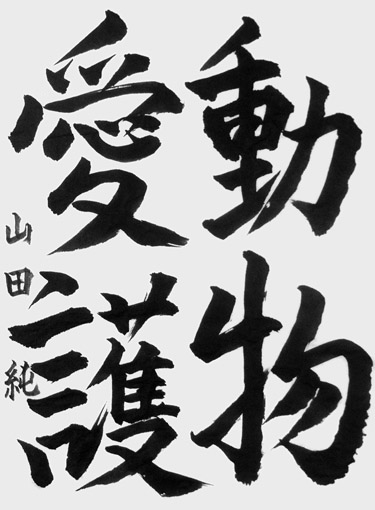 山田純（中学生）_作品