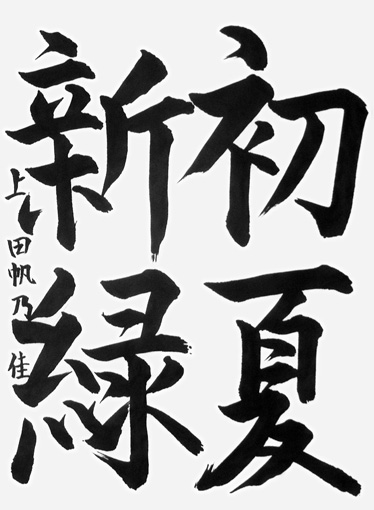 上田帆乃佳_作品