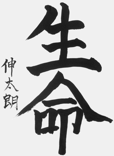 狩野伸太朗（小学五年生）_作品