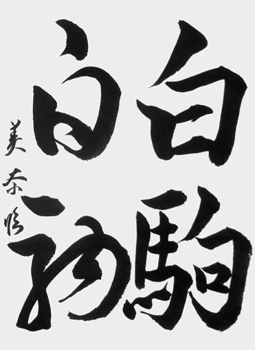 大塚美奈（高校生）_作品