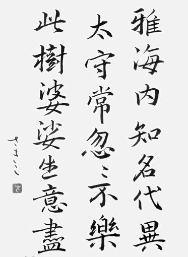 宮崎さき子_作品