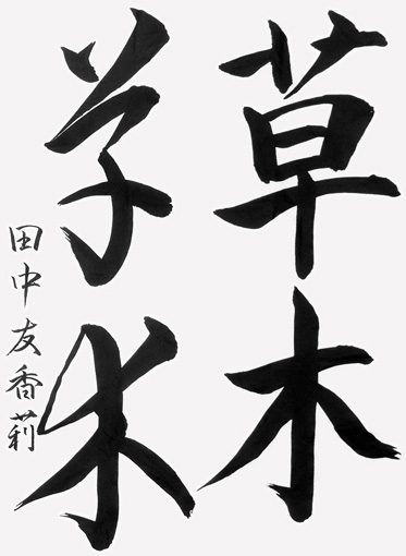 田中友香莉_作品