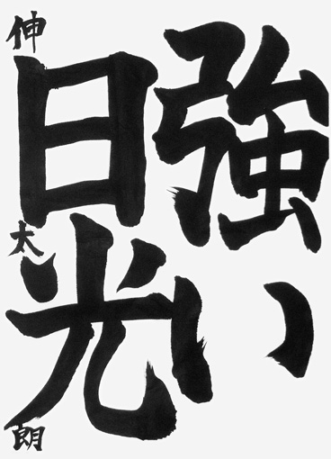 狩野伸太朗（小学六年生）_作品