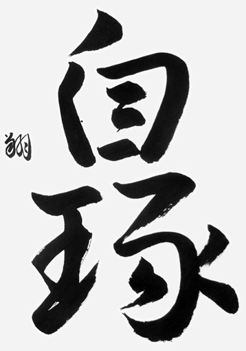 武田　翔（高校生）_作品