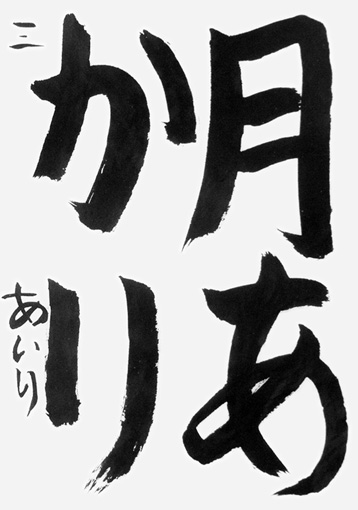 柳沼あいり（小学三年生）_作品