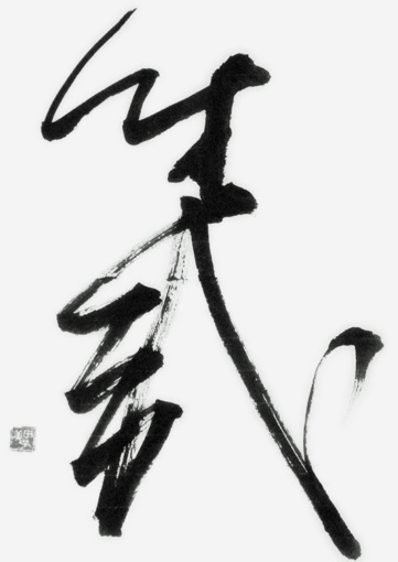 大通由美子_作品