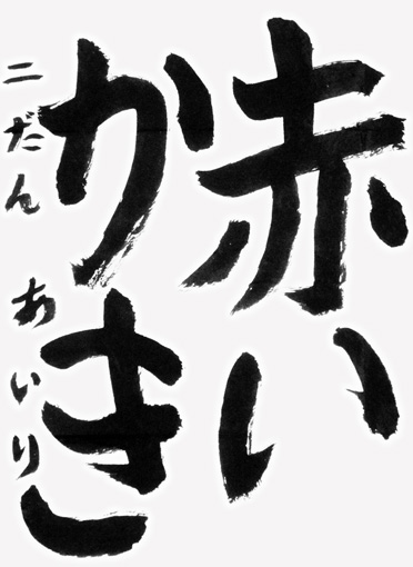 柳沼あいり_作品