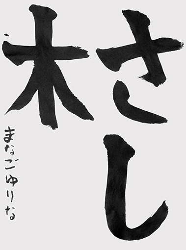 眞名子結莉菜（小学三年生）_作品