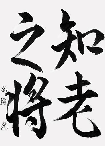 高橋　凛（高校生）_作品