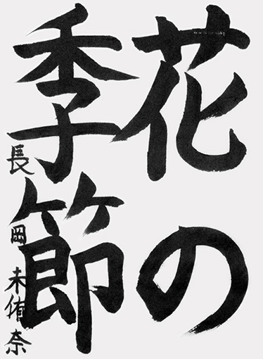 長岡未侑奈_作品