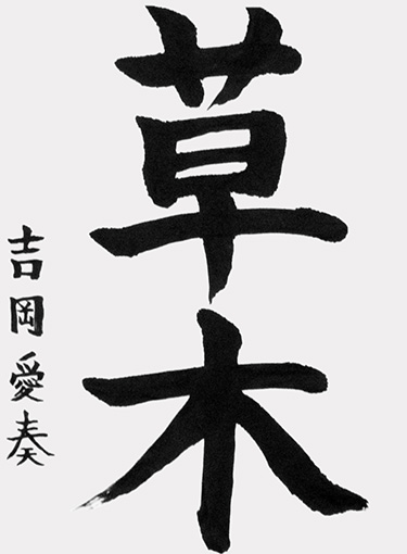 吉岡愛奏（小学四年生）_作品