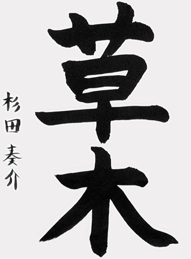 杉田奏介（小学四年生）_作品