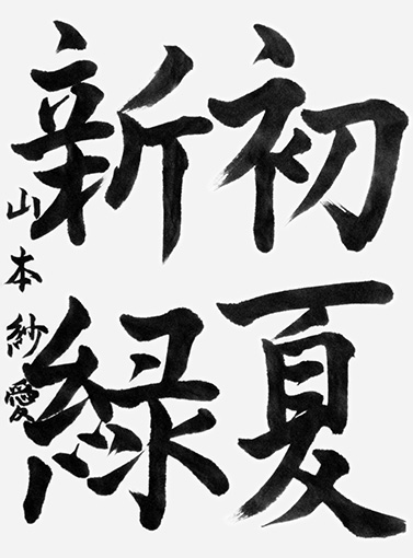 山本紗愛（中学生）_作品