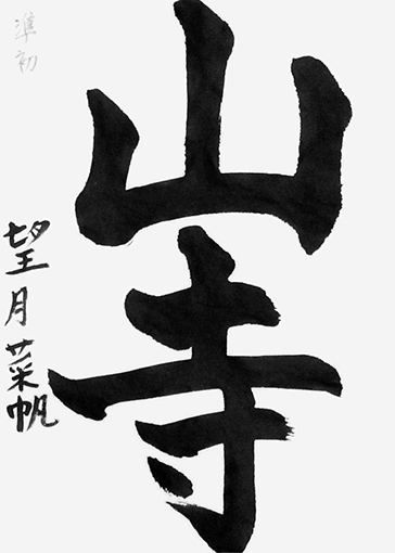 望月菜帆（小学四年生）_作品