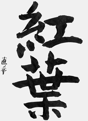 駒林直希（小学六年生）_作品