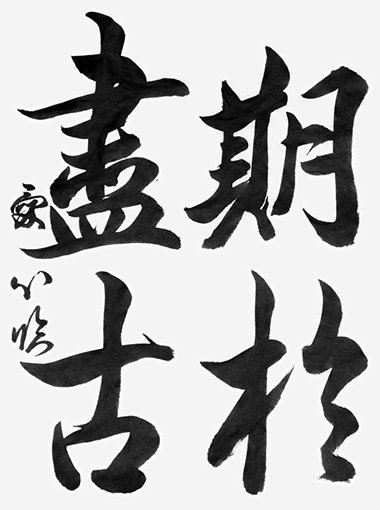 木島愛心（高校生）_作品